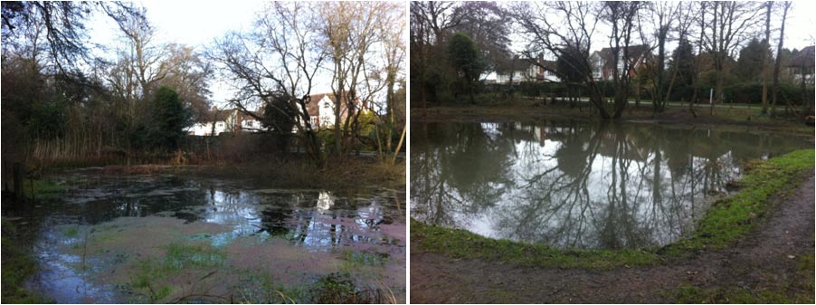 Bricky Pond clearance work, Chesham Bois