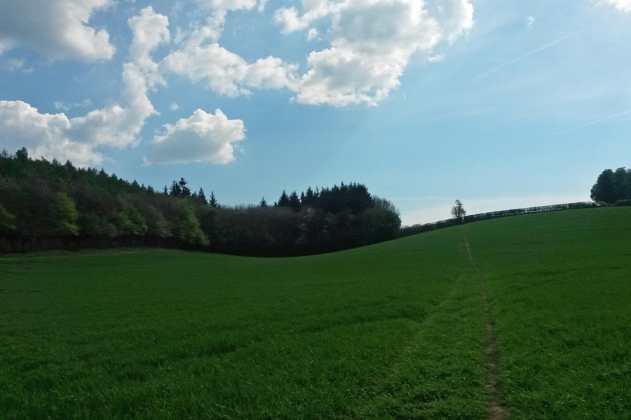 Hillside view, Chesham Bois Beating the Bounds Walk May 2016