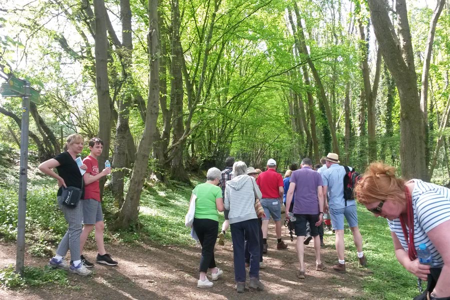 Chesham Bois Beating the Bounds Walk May 2016