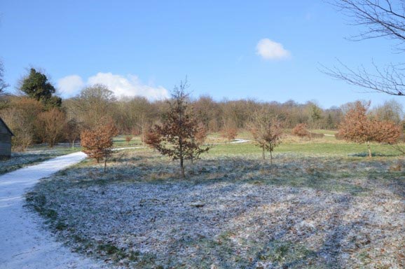Winter Scene of lower woodland burial ground.