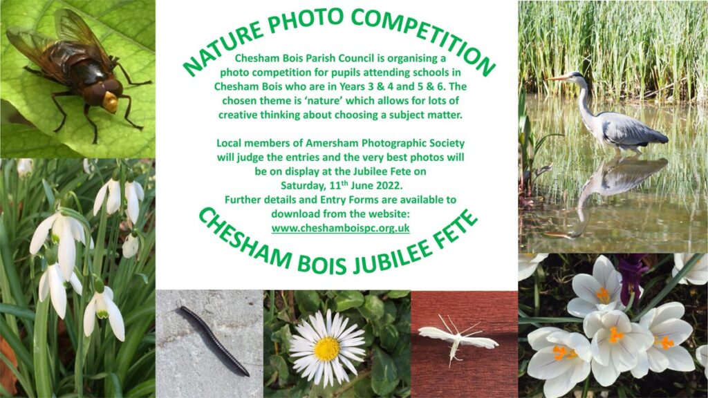 Poster for Chesham Bois PC nature photo competition
